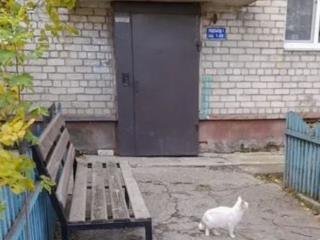 1-комн. квартира, 30 м², 2/5 этаж
