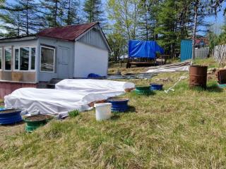  дом, 24 м², 6 соток