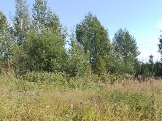  коттедж, 25 м², 9 соток