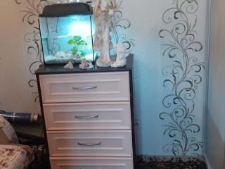 1-комн. квартира, 23.3 м², 2/2 этаж