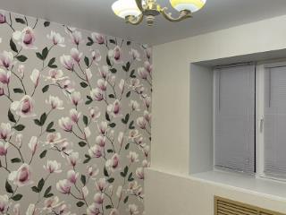 3-комн. квартира, 65 м², 1/2 этаж