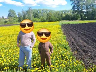 1-этажный дом, 38.8 м², 33 сотки