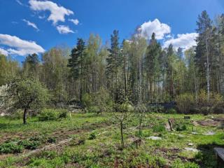 1-этажный дом, 51 м², 10 соток