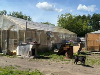  дом, 90 м², 10 соток