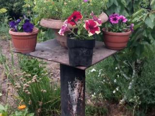 1-этажный дом, 56.4 м², 8.5 соток