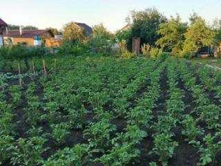 1-этажный дом, 19 м², 10 соток