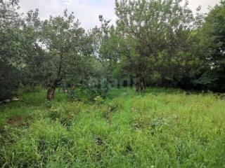 1-этажный дом, 65.2 м², 17.76 соток