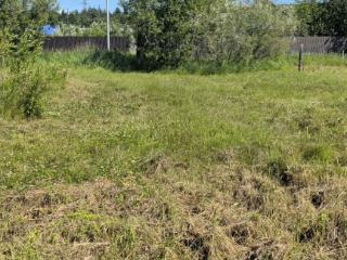  дом, 32.5 м², 20.2 соток