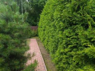 2-этажный дом, 130 м², 37 соток