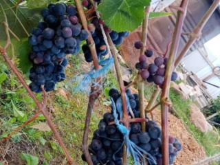 1-этажный дом, 94.5 м², 12.3 соток