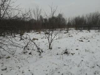 1-этажный дом, 56.4 м², 16 соток