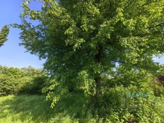 1-этажный дом, 105 м², 8 соток