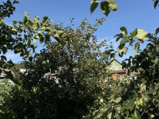 2-этажный дом, 104.4 м², 8.2 соток