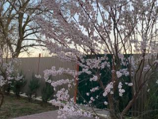 3-этажный коттедж, 307.6 м², 17.6 соток