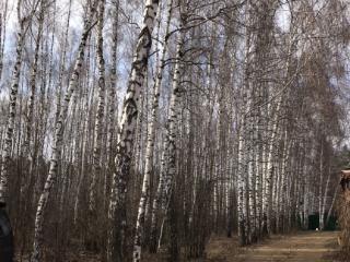  коттедж, 20 м², 6 соток