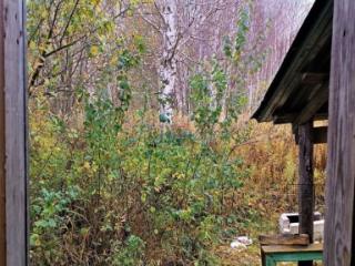 1-этажный дом, 46.4 м², 9 соток