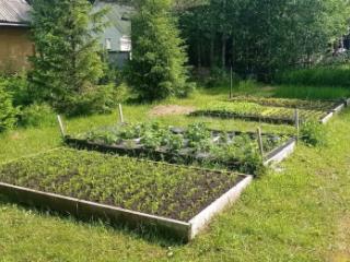  дача, 50 м², 13 соток