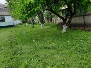 1-этажный дом, 40 м², 6 соток