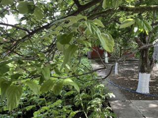  дом, 300 м², 10 соток