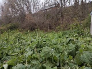 1-этажный дом, 39.8 м², 15 соток