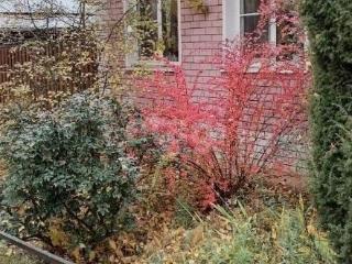 1-этажный дом, 62.1 м², 11.6 соток