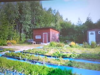 1-этажный дом, 12 м², 20 соток