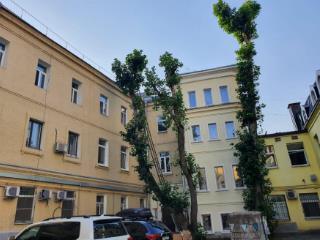 1-комн. квартира, 14.5 м², 1/7 этаж