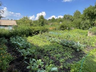 1-этажный дом, 30 м², 8 соток