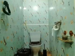  дом, 123.5 м², 73.7 сотки