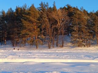 1-этажный дом, 280 м², 12 соток