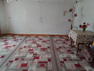  дом, 45 м², 15 соток