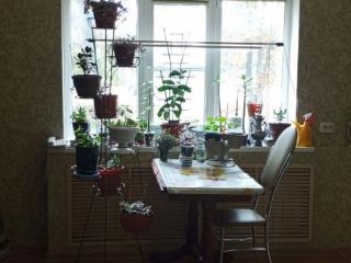 3-комн. квартира, 48 м², 1/1 этаж