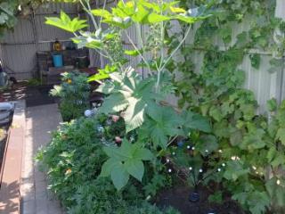 1-этажный дом, 72.9 м², 3.5 сотки