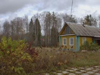  дом, 20 м², 25 соток