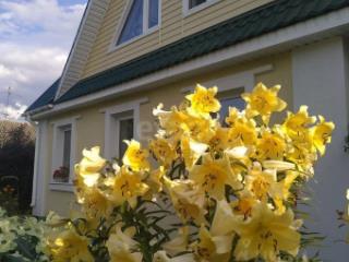 2-этажный дом, 174 м², 4 сотки