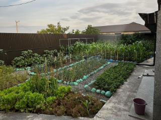  дом, 650 м², 16 соток