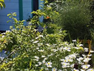  коттедж, 32 м², 18.9 соток