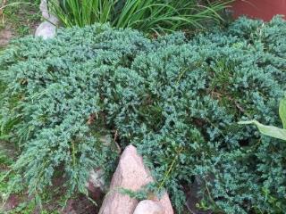 1-этажный дом, 56.4 м², 8.5 соток