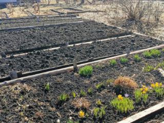 Купить землю, 5.2 соток