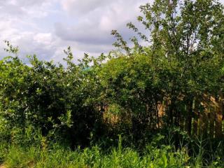  дом, 12 м², 6 соток