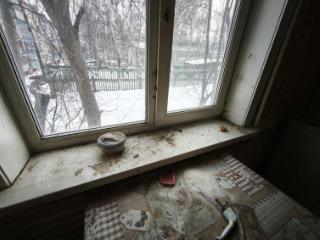 1-комн. квартира, 29.8 м², 1/5 этаж