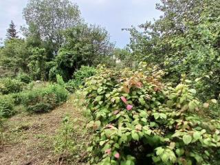  коттедж, 23 м², 6 соток