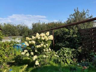 2-этажный коттедж, 374.5 м², 5.5 соток