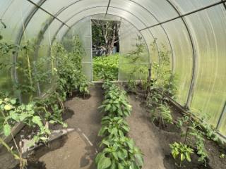 1-этажный дом, 30 м², 8 соток