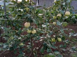 1-этажный дом, 94.5 м², 12.3 соток