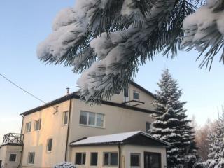  дом, 175.2 м², 100 соток