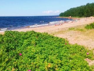 3-комн. квартира, 73 м², 2/5 этаж