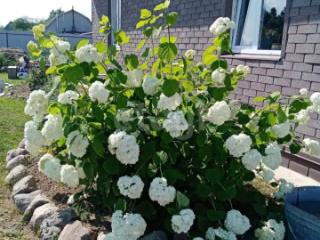 1-этажный дом, 94.5 м², 12.3 соток