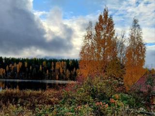 2-этажный дом, 110 м², 16 соток