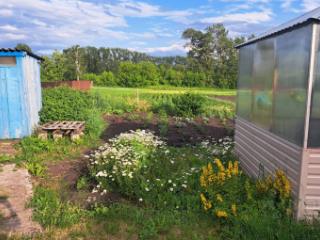 1-этажный дом, 38.8 м², 33 сотки